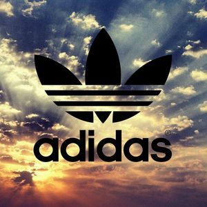 Meet your Posher, Logan